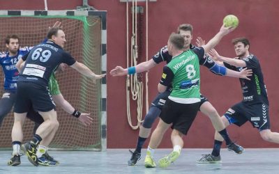 Makellose Wochenend-Bilanz für Handball-Seniorenteams