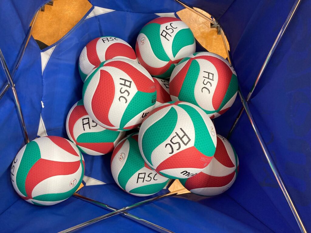 volleyball Bälle