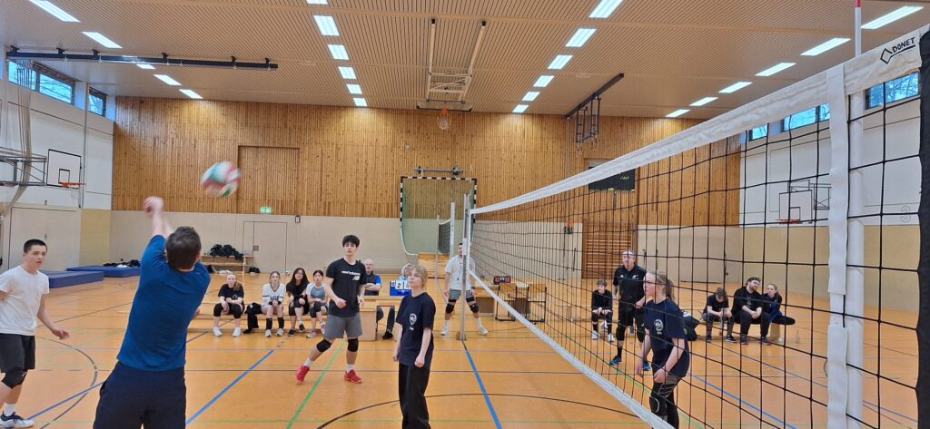 Volleyball PIC II